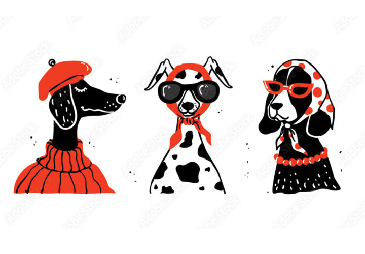 Dog Post 5